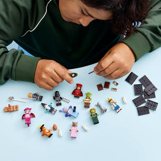 LEGO® Shrek Series Minifigures™