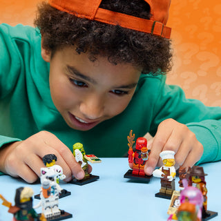 LEGO® Series 29 Minifigures™