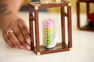 LEGO® Ideas Mineral Collection 21362 Building Toy