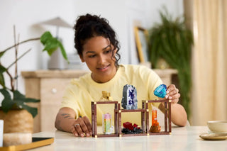 LEGO® Ideas Mineral Collection 21362 Building Toy