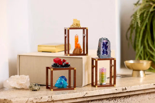 LEGO® Ideas Mineral Collection 21362 Building Toy