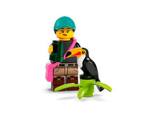 LEGO® Minifigures™ Series 22 71032 (Retired)