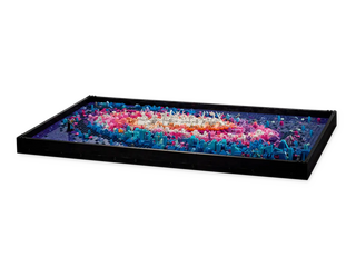 LEGO® Art The Milky Way Galaxy 31212 Building Toy - Moore's Minifigures