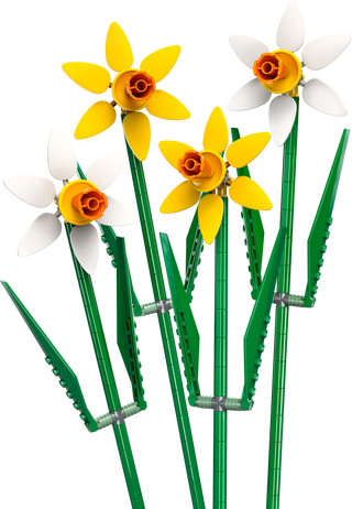 LEGO® Botanicals Daffodils 40747 - Moore's Minifigures