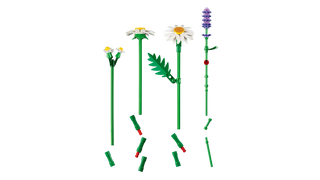 LEGO® Botanicals™ Daisies 11508 Building Toy - Moore's Minifigures