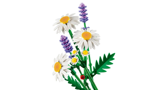LEGO® Botanicals™ Daisies 11508 Building Toy - Moore's Minifigures