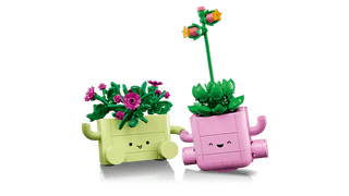 LEGO® Botanicals Rocking Plants 11506 - Moore's Minifigures