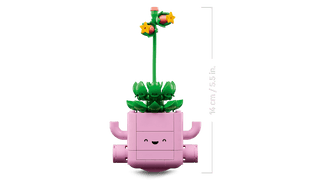 LEGO® Botanicals Rocking Plants 11506 - Moore's Minifigures