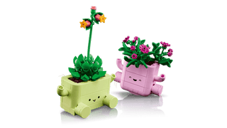 LEGO® Botanicals Rocking Plants 11506 - Moore's Minifigures