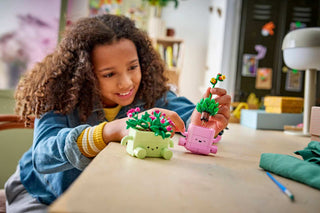 LEGO® Botanicals Rocking Plants 11506 - Moore's Minifigures
