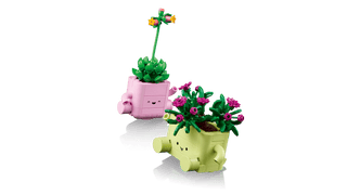 LEGO® Botanicals Rocking Plants 11506 - Moore's Minifigures