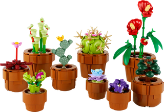 LEGO® Botanicals Tiny Plants 10329 - Moore's Minifigures