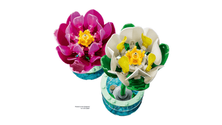 LEGO® Botanicals Water Lilies 11511 - Moore's Minifigures