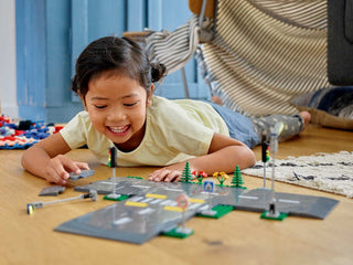 LEGO® City Road Plates 60304 - Moore's Minifigures