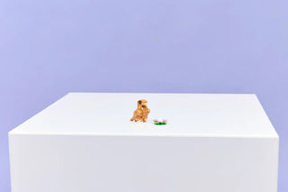 LEGO® Creator 3 in 1 Cute Hamster with a Flower 31376 - Moore's Minifigures