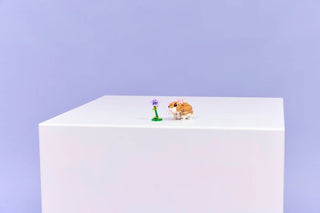 LEGO® Creator 3 in 1 Cute Hamster with a Flower 31376 - Moore's Minifigures
