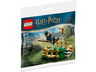 LEGO® Harry Potter™ Quidditch™ Practice 30651 - Moore's Minifigures