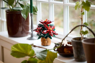 LEGO® Icons Botanicals Poinsettia 10370 - Moore's Minifigures