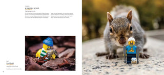 LEGO® in Focus Book - Moore's Minifigures