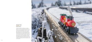 LEGO® in Focus Book - Moore's Minifigures