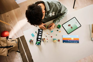 LEGO® Minecraft® Mini Biomes 21589 - Moore's Minifigures