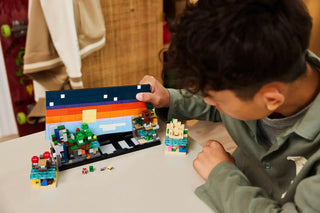 LEGO® Minecraft® Mini Biomes 21589 - Moore's Minifigures
