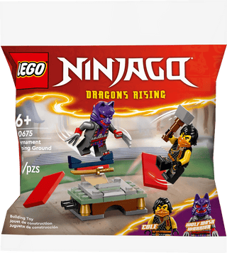 LEGO® NINJAGO® Tournament Training Ground 30675 - Moore's Minifigures