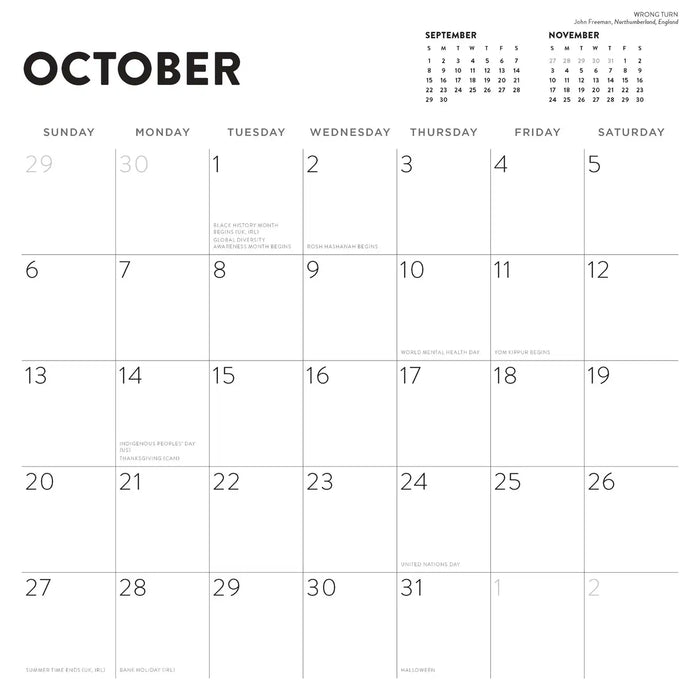 LEGO® 2024 Wall Calendar