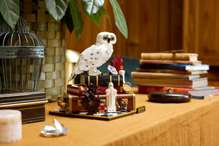 LEGO® Harry Potter™ Sorcerer's Stone – Collectors' Edition 76466