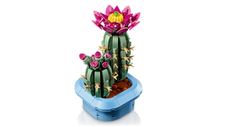 LEGO® Botanicals™ Flowering Cactus 11509