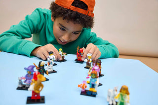 LEGO® Minifigures™ Series 29 71052