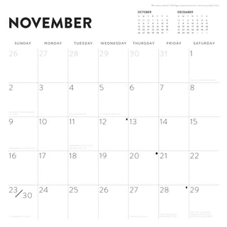 LEGO® 2025 Wall Calendar