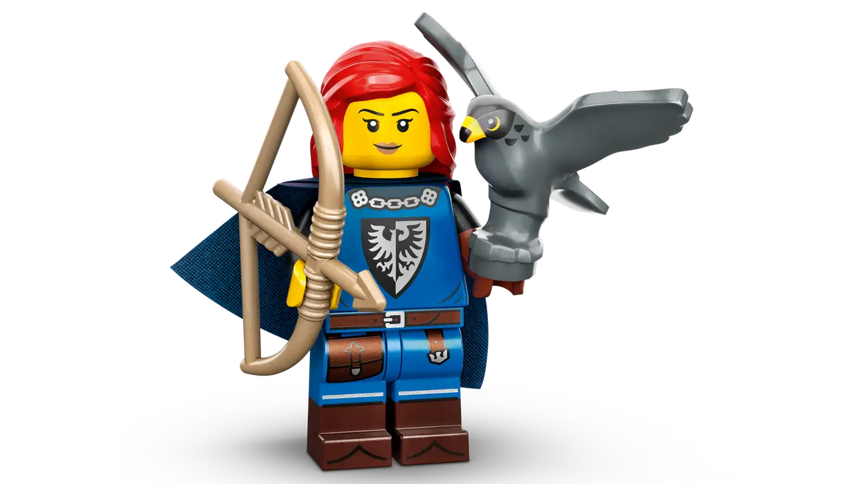 LEGO® Minifigures™ Series 24 71037