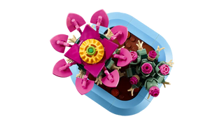 LEGO® Botanicals™ Flowering Cactus 11509
