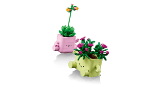 LEGO® Botanicals Rocking Plants 11506
