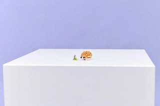 LEGO® Creator 3 in 1 Cute Hamster with a Flower 31376