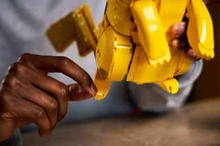 LEGO® Pokémon™ Pikachu and Poké Ball 72152