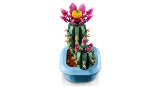 LEGO® Botanicals™ Flowering Cactus 11509