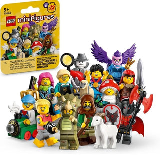 LEGO® Minifigures™ Series 25 71045